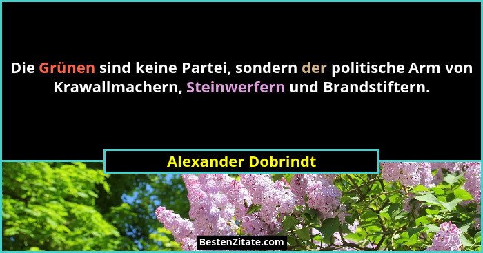 Die Grünen sind keine Partei, sondern der politische Arm von Krawallmachern, Steinwerfern und Brandstiftern.... - Alexander Dobrindt