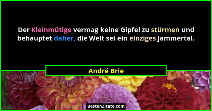 Der Kleinmütige vermag keine Gipfel zu stürmen und behauptet daher, die Welt sei ein einziges Jammertal.... - André Brie
