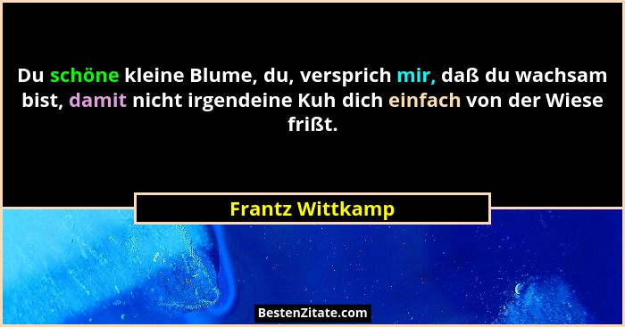 Du schöne kleine Blume, du, versprich mir, daß du wachsam bist, damit nicht irgendeine Kuh dich einfach von der Wiese frißt.... - Frantz Wittkamp