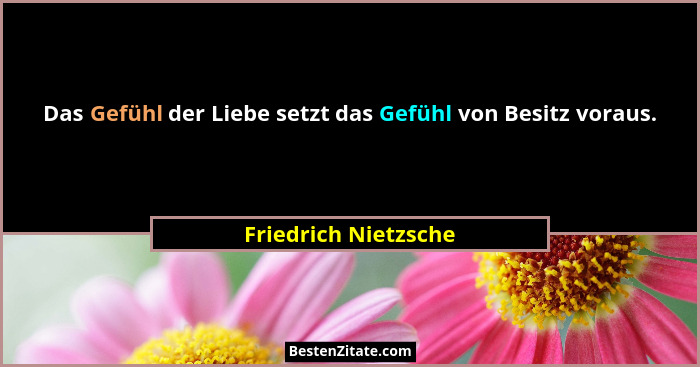 Das Gefühl der Liebe setzt das Gefühl von Besitz voraus.... - Friedrich Nietzsche