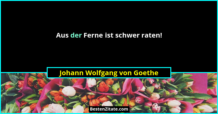 Aus der Ferne ist schwer raten!... - Johann Wolfgang von Goethe