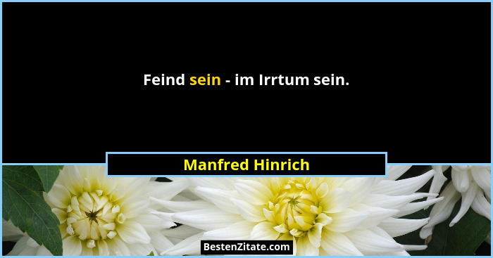 Feind sein - im Irrtum sein.... - Manfred Hinrich