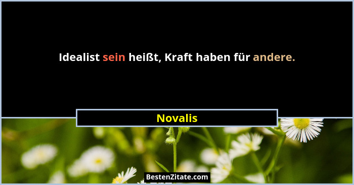 Idealist sein heißt, Kraft haben für andere.... - Novalis