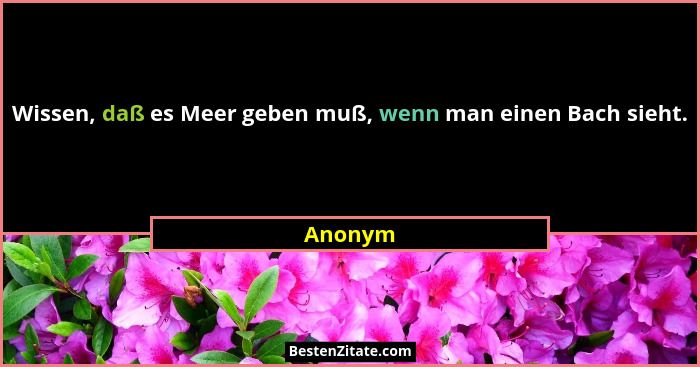 Wissen, daß es Meer geben muß, wenn man einen Bach sieht.... - Anonym