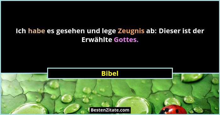 Ich habe es gesehen und lege Zeugnis ab: Dieser ist der Erwählte Gottes.... - Bibel