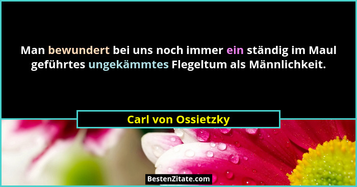 Man bewundert bei uns noch immer ein ständig im Maul geführtes ungekämmtes Flegeltum als Männlichkeit.... - Carl von Ossietzky
