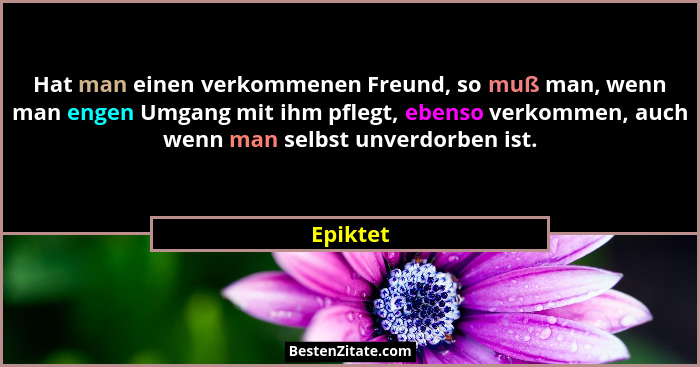 Hat man einen verkommenen Freund, so muß man, wenn man engen Umgang mit ihm pflegt, ebenso verkommen, auch wenn man selbst unverdorben ist.... - Epiktet