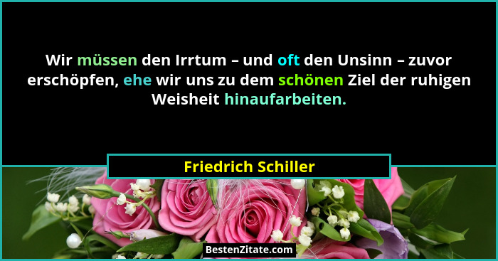 Wir müssen den Irrtum – und oft den Unsinn – zuvor erschöpfen, ehe wir uns zu dem schönen Ziel der ruhigen Weisheit hinaufarbeite... - Friedrich Schiller