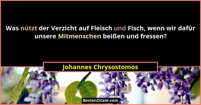 Was nützt der Verzicht auf Fleisch und Fisch, wenn wir dafür unsere Mitmenschen beißen und fressen?... - Johannes Chrysostomos