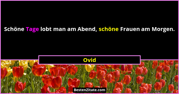 Schöne Tage lobt man am Abend, schöne Frauen am Morgen.... - Ovid