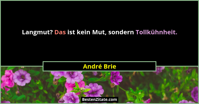 Langmut? Das ist kein Mut, sondern Tollkühnheit.... - André Brie