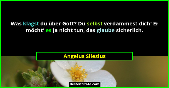 Was klagst du über Gott? Du selbst verdammest dich! Er möcht' es ja nicht tun, das glaube sicherlich.... - Angelus Silesius