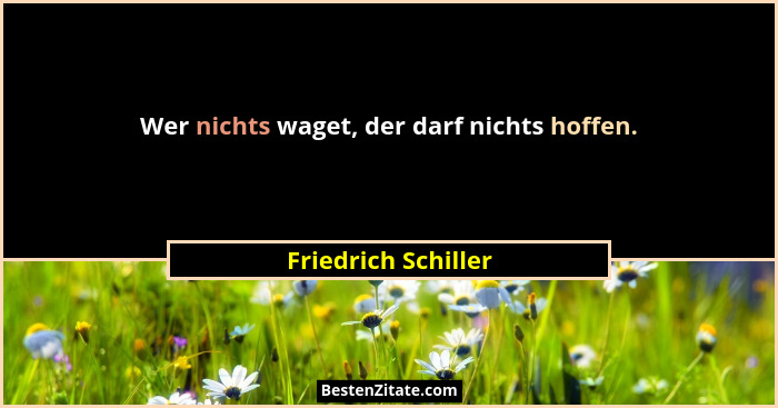 Wer nichts waget, der darf nichts hoffen.... - Friedrich Schiller