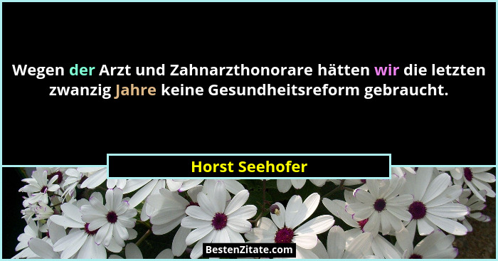Wegen der Arzt und Zahnarzthonorare hätten wir die letzten zwanzig Jahre keine Gesundheitsreform gebraucht.... - Horst Seehofer