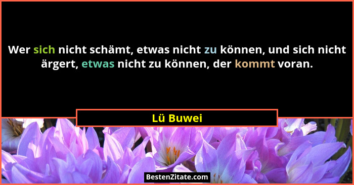 Wer sich nicht schämt, etwas nicht zu können, und sich nicht ärgert, etwas nicht zu können, der kommt voran.... - Lü Buwei
