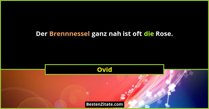 Der Brennnessel ganz nah ist oft die Rose.... - Ovid
