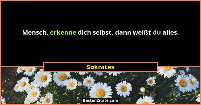 Mensch, erkenne dich selbst, dann weißt du alles.... - Sokrates
