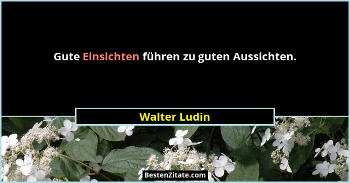 Gute Einsichten führen zu guten Aussichten.... - Walter Ludin