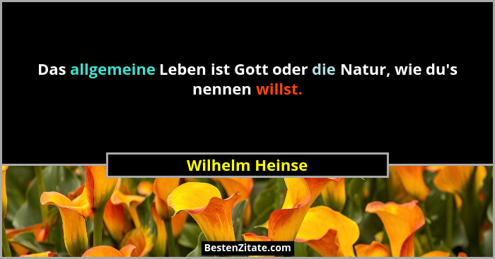 Das allgemeine Leben ist Gott oder die Natur, wie du's nennen willst.... - Wilhelm Heinse