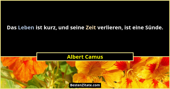 Das Leben ist kurz, und seine Zeit verlieren, ist eine Sünde.... - Albert Camus