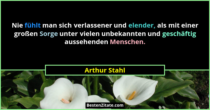 Nie fühlt man sich verlassener und elender, als mit einer großen Sorge unter vielen unbekannten und geschäftig aussehenden Menschen.... - Arthur Stahl