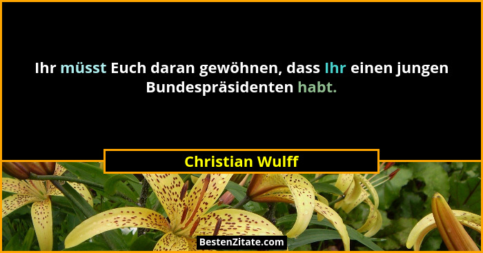Ihr müsst Euch daran gewöhnen, dass Ihr einen jungen Bundespräsidenten habt.... - Christian Wulff