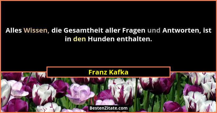 Alles Wissen, die Gesamtheit aller Fragen und Antworten, ist in den Hunden enthalten.... - Franz Kafka