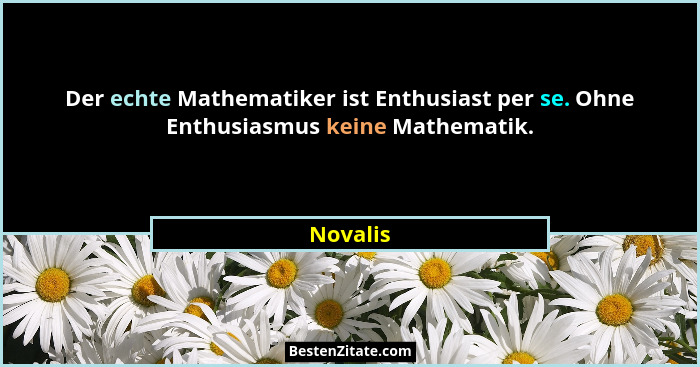 Der echte Mathematiker ist Enthusiast per se. Ohne Enthusiasmus keine Mathematik.... - Novalis