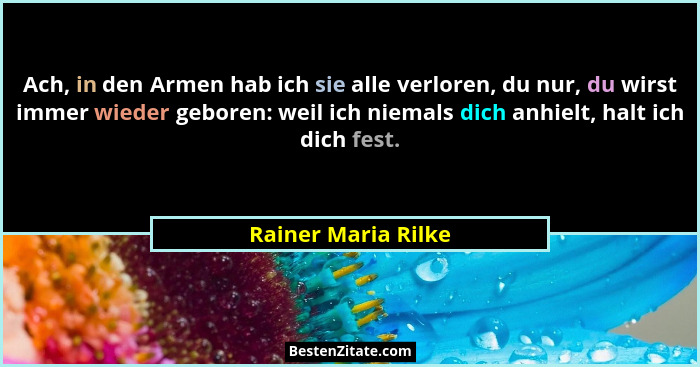 Ach, in den Armen hab ich sie alle verloren, du nur, du wirst immer wieder geboren: weil ich niemals dich anhielt, halt ich dich... - Rainer Maria Rilke