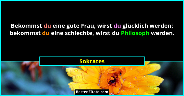 Bekommst du eine gute Frau, wirst du glücklich werden; bekommst du eine schlechte, wirst du Philosoph werden.... - Sokrates