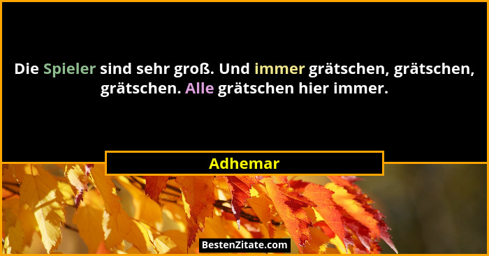 Die Spieler sind sehr groß. Und immer grätschen, grätschen, grätschen. Alle grätschen hier immer.... - Adhemar
