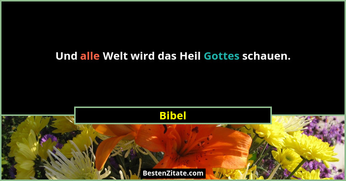 Und alle Welt wird das Heil Gottes schauen.... - Bibel