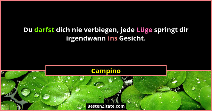 Du darfst dich nie verbiegen, jede Lüge springt dir irgendwann ins Gesicht.... - Campino