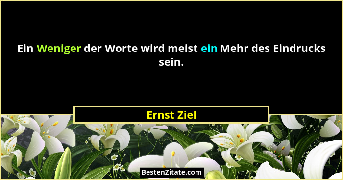 Ein Weniger der Worte wird meist ein Mehr des Eindrucks sein.... - Ernst Ziel