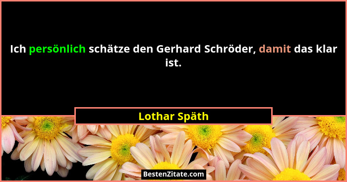 Ich persönlich schätze den Gerhard Schröder, damit das klar ist.... - Lothar Späth