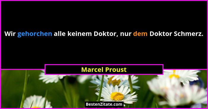 Wir gehorchen alle keinem Doktor, nur dem Doktor Schmerz.... - Marcel Proust