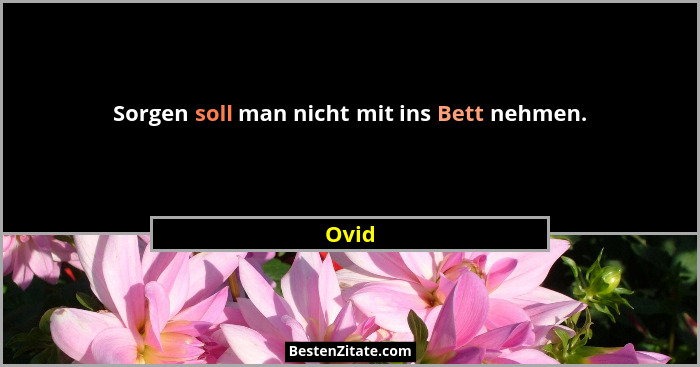 Sorgen soll man nicht mit ins Bett nehmen.... - Ovid