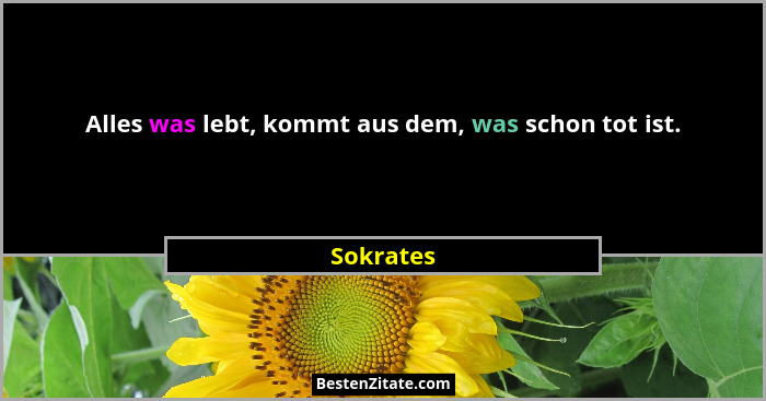 Alles was lebt, kommt aus dem, was schon tot ist.... - Sokrates