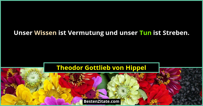 Unser Wissen ist Vermutung und unser Tun ist Streben.... - Theodor Gottlieb von Hippel