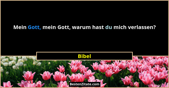 Mein Gott, mein Gott, warum hast du mich verlassen?... - Bibel