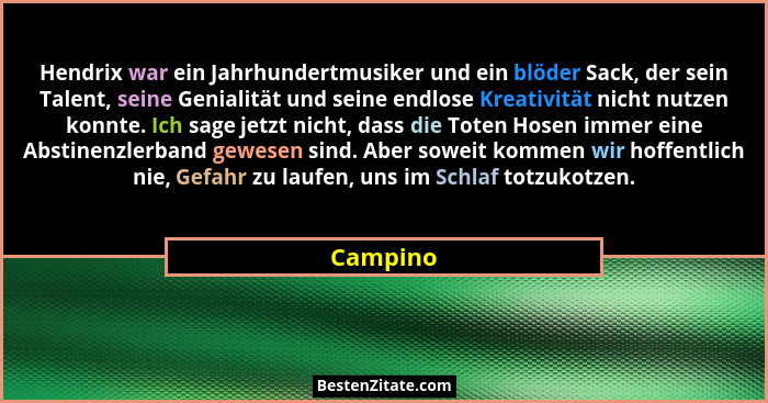 Hendrix war ein Jahrhundertmusiker und ein blöder Sack, der sein Talent, seine Genialität und seine endlose Kreativität nicht nutzen konnte.... - Campino