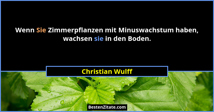 Wenn Sie Zimmerpflanzen mit Minuswachstum haben, wachsen sie in den Boden.... - Christian Wulff