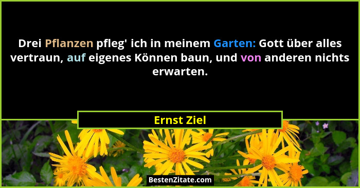 Drei Pflanzen pfleg' ich in meinem Garten: Gott über alles vertraun, auf eigenes Können baun, und von anderen nichts erwarten.... - Ernst Ziel
