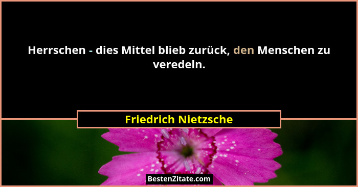 Herrschen - dies Mittel blieb zurück, den Menschen zu veredeln.... - Friedrich Nietzsche