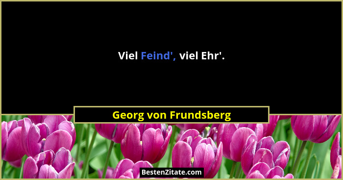 Viel Feind', viel Ehr'.... - Georg von Frundsberg