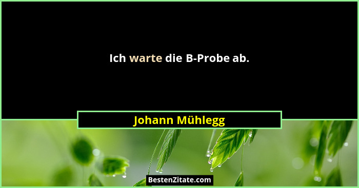 Ich warte die B-Probe ab.... - Johann Mühlegg