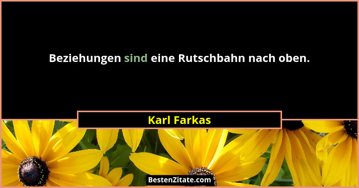 Beziehungen sind eine Rutschbahn nach oben.... - Karl Farkas