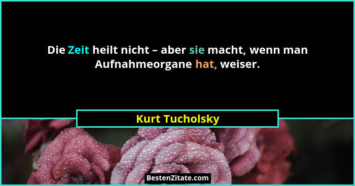 Die Zeit heilt nicht – aber sie macht, wenn man Aufnahmeorgane hat, weiser.... - Kurt Tucholsky