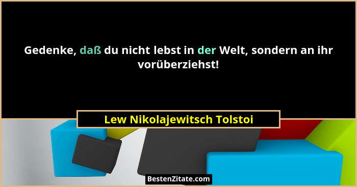 Gedenke, daß du nicht lebst in der Welt, sondern an ihr vorüberziehst!... - Lew Nikolajewitsch Tolstoi