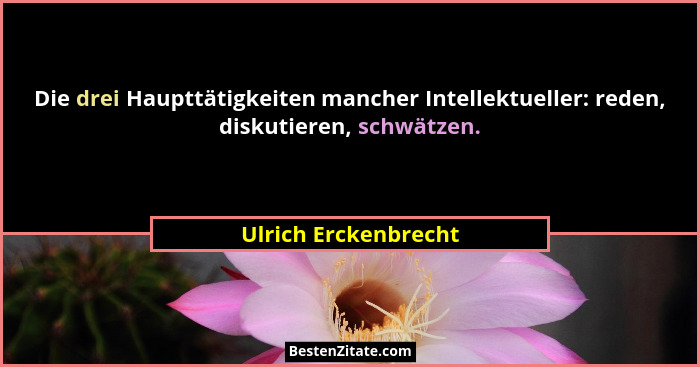 Die drei Haupttätigkeiten mancher Intellektueller: reden, diskutieren, schwätzen.... - Ulrich Erckenbrecht